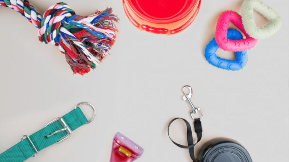 Sistema para PetShop