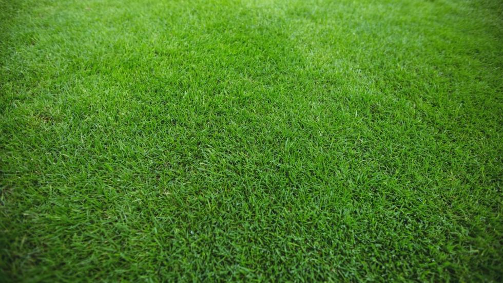 Sistema para Distribuidora de Gramas